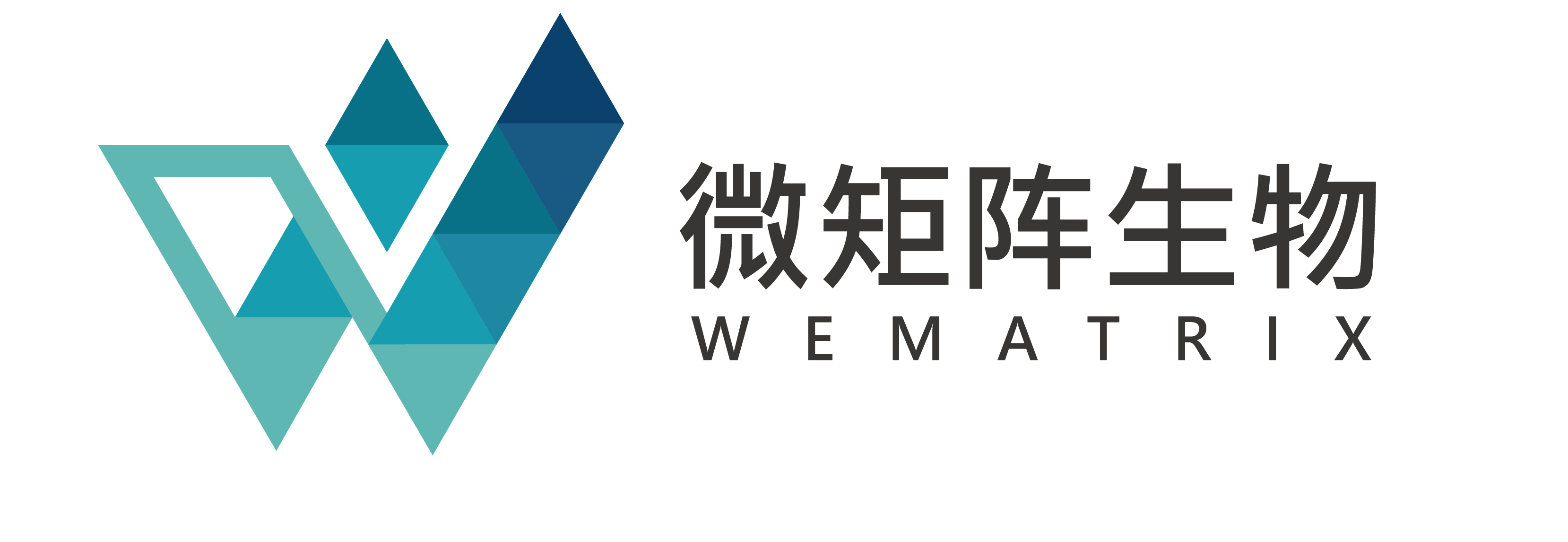 WEMATRIX
