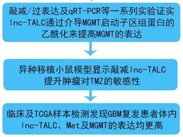 QQ 截图 207