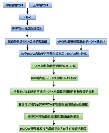 QY球友会客户甲基化研究揭示鼻咽癌治疗新靶点研究思路