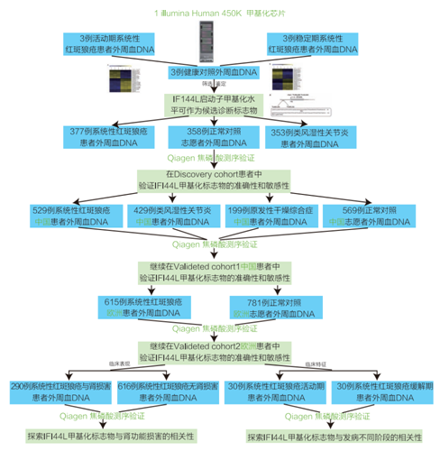 QY球友会客户红斑狼疮诊断标志物研究思路