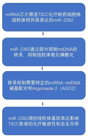 QQ 截图 208