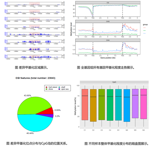 全基因甲基化测序数据分析
