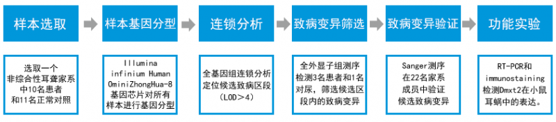 全外显子组测序研究思路配图