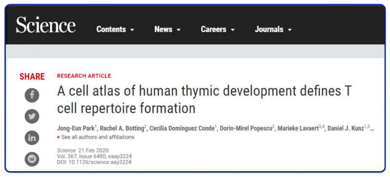 Lymphoma Driver Mutations in the Pathogenic Evolution of an Iconic Human Autoantibody. Cell. 2020