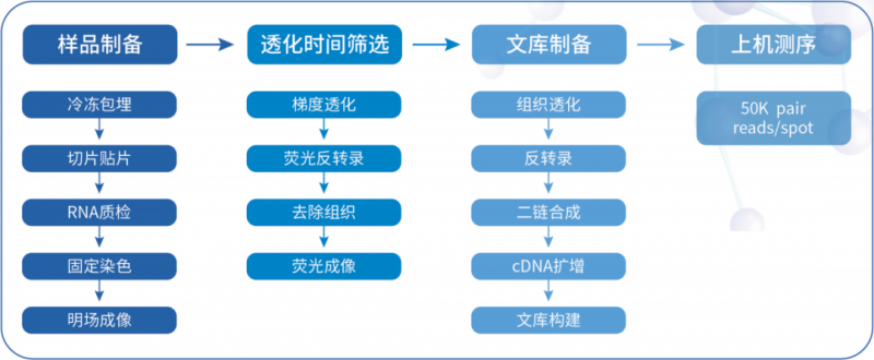  QY球友会生物空间转录组测序流程 