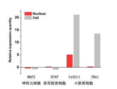 QY球友会生物单细胞核转录组测序数据图 5