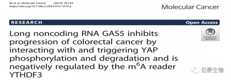 RNA 甲基化测序 m6a 甲基化测序 QY球友会生物甲基化服务客户发文 