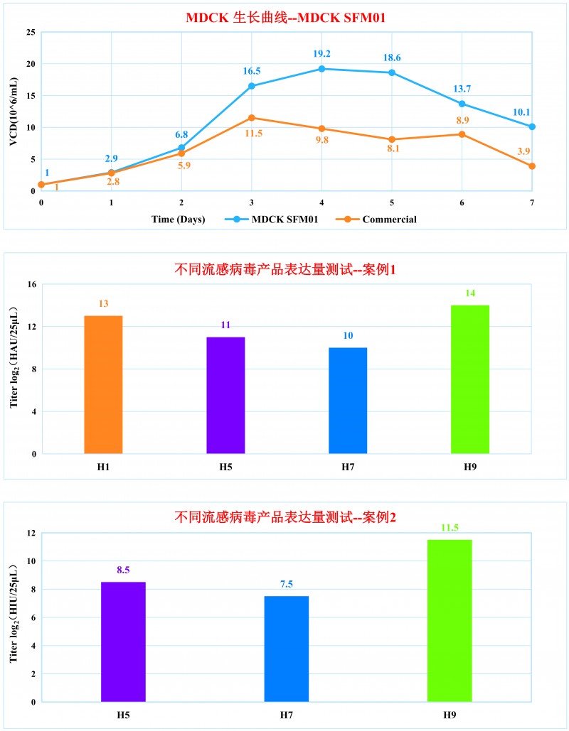 MDCK SFM01 培养基性能展示