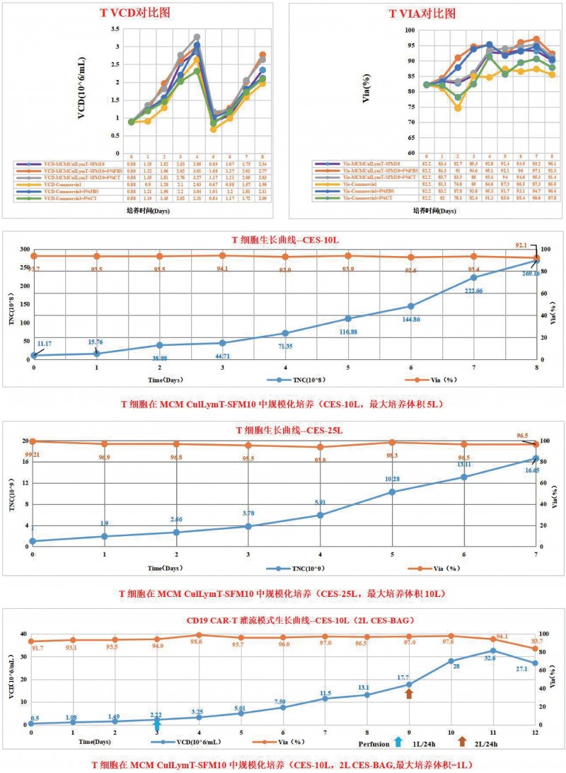 T 淋巴细胞无血清培养基产品性能