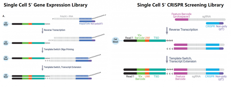 企业微信截图_716