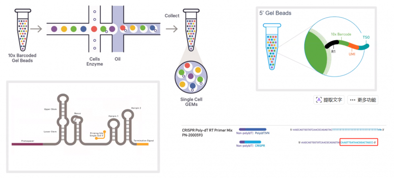 38fe9083-45ef-40fe-8d3a-93d94b19f243