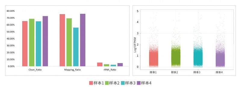 伯优®FFPE样本RNA提取试剂盒单页-04
