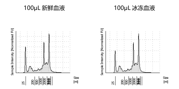 图片11